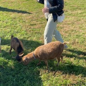 Jacqueline Scislowski Instagram - I think I need a farm. Scratch that I 100% am getting a farm! And having TRILLIONS of baby goats. Yup cool(: 😊🤘🏼