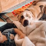 Jacqueline MacInnes Wood Instagram – Lately… 🤍🦋