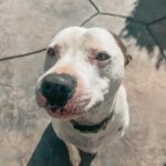 Jacqueline MacInnes Wood Instagram – Lately… 🤍🦋