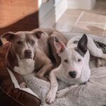 Jacqueline MacInnes Wood Instagram – My squishy squish. 🤍