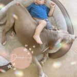 Jacqueline MacInnes Wood Instagram – The bond she has with my kids … 💕
