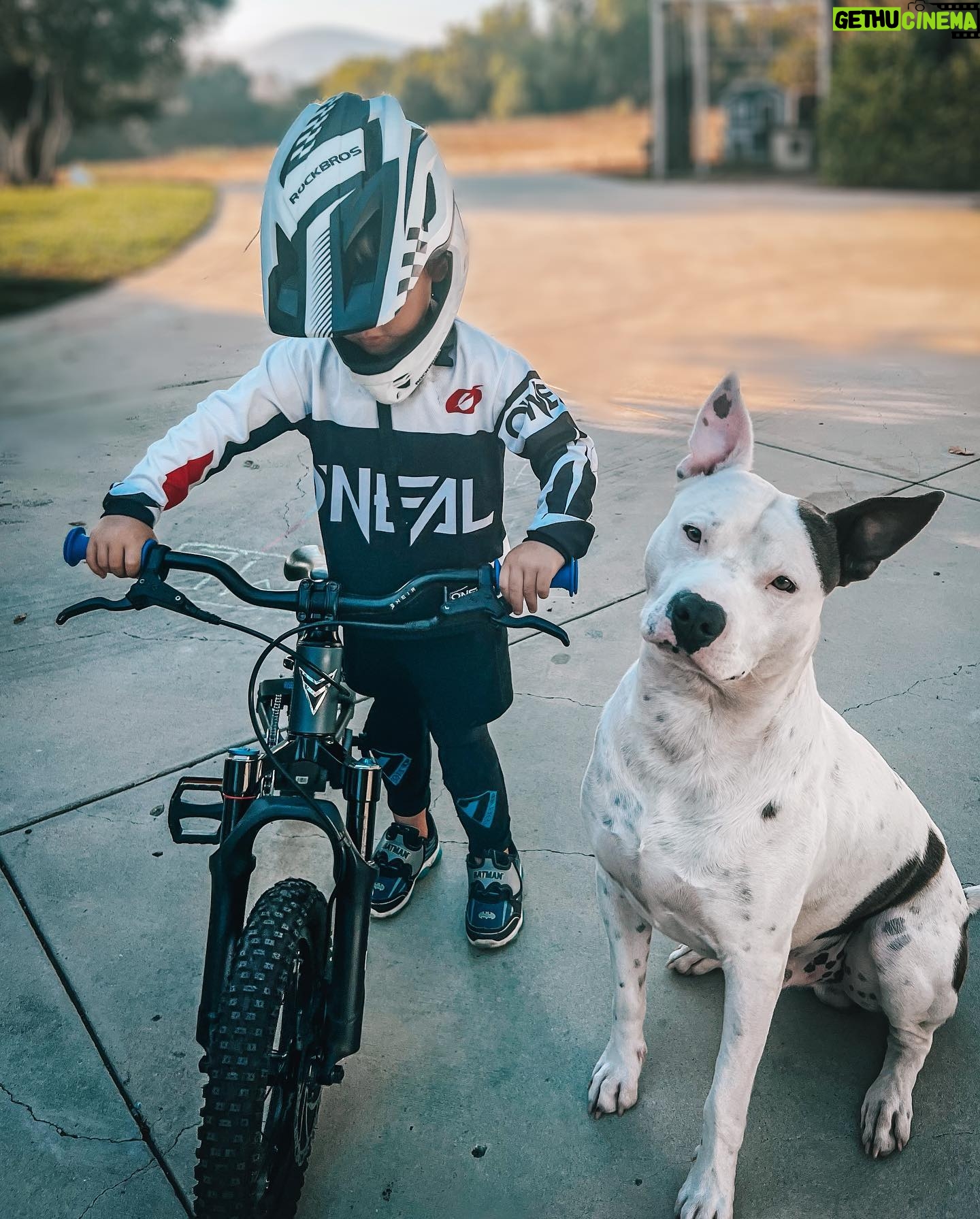 Jacqueline MacInnes Wood Instagram - A boy and his dog 🤍