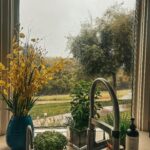 Jacqueline MacInnes Wood Instagram – Lately… 🤍🦋