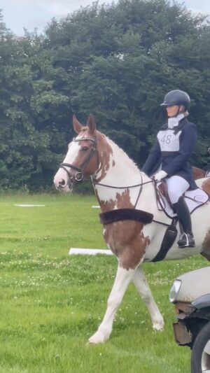 Jade Affleck Instagram - Happy Gotcha day Eddie🦄 forever greatful for you❤️