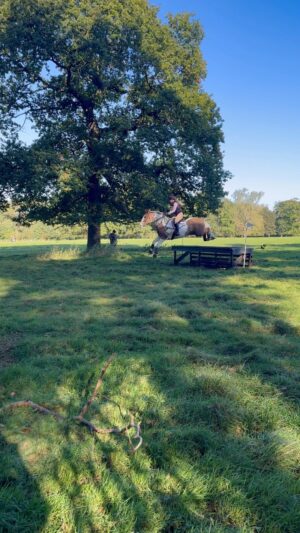 Jade Affleck Instagram - This horse😍🦄