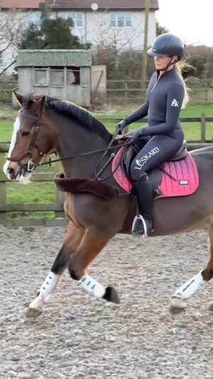 Jade Affleck Instagram - Little school on katie this afternoon wearing all things @leskardequestrian 🫶🏼🐴