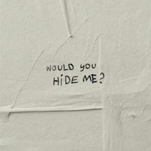 Jade Tailor Instagram - Genuine question… my grandparents were hidden in a barn during the Holocaust before hiding in a forest from the nazis. So… would you hide me? I’ll be curious to hear what people say 🤍 

P.S. This is a stand for the Jewish people and their safety across the globe. This isn’t about the war in the Middle East. This does not negate what is happening or has happened to the Palestinian or Israeli people, but the sad truth of the horrendous rise in antisemitism across the globe. 

So… would you hide me?

#wouldyouhideme