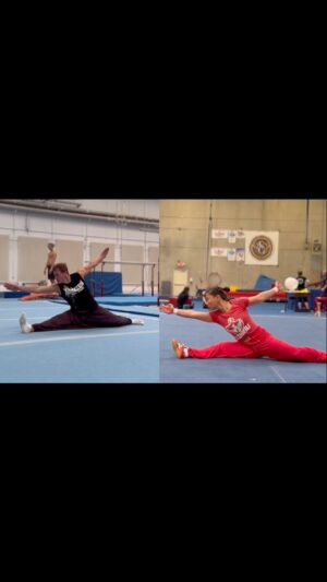 Jade Xu Instagram - Dragon Phoenix 龍鳳⚡️w/ @jadexuofficial 🔥
.
.
.
.
.
.
#wushu #martialarts #kungfu #kicks #wayoflife #synergy #btwist #synchronicity #jadexu #davidtorok #dragonphoenix