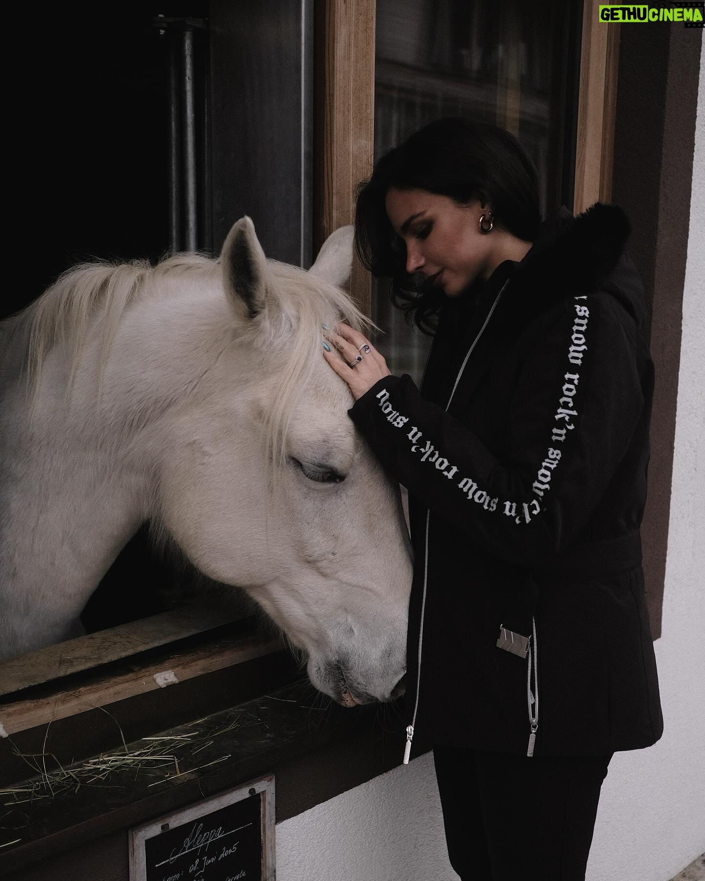 Jade Leboeuf Instagram - Aleppa & Me đ€ la dĂ©finition de la douceur, de la curiositĂ© et de la gentillesse ce cheval. Tenue @ikksofficial x @henri_duvillard (offerte) pour trouver un peu de neige mais finalement il nây en avait pas du tout. Le comble câest quâen se levant ce matin, jour blanc, de la neige partout âïž đ