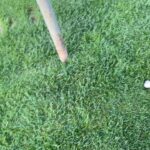 Jaina Lee Ortiz Instagram – Louie lately…