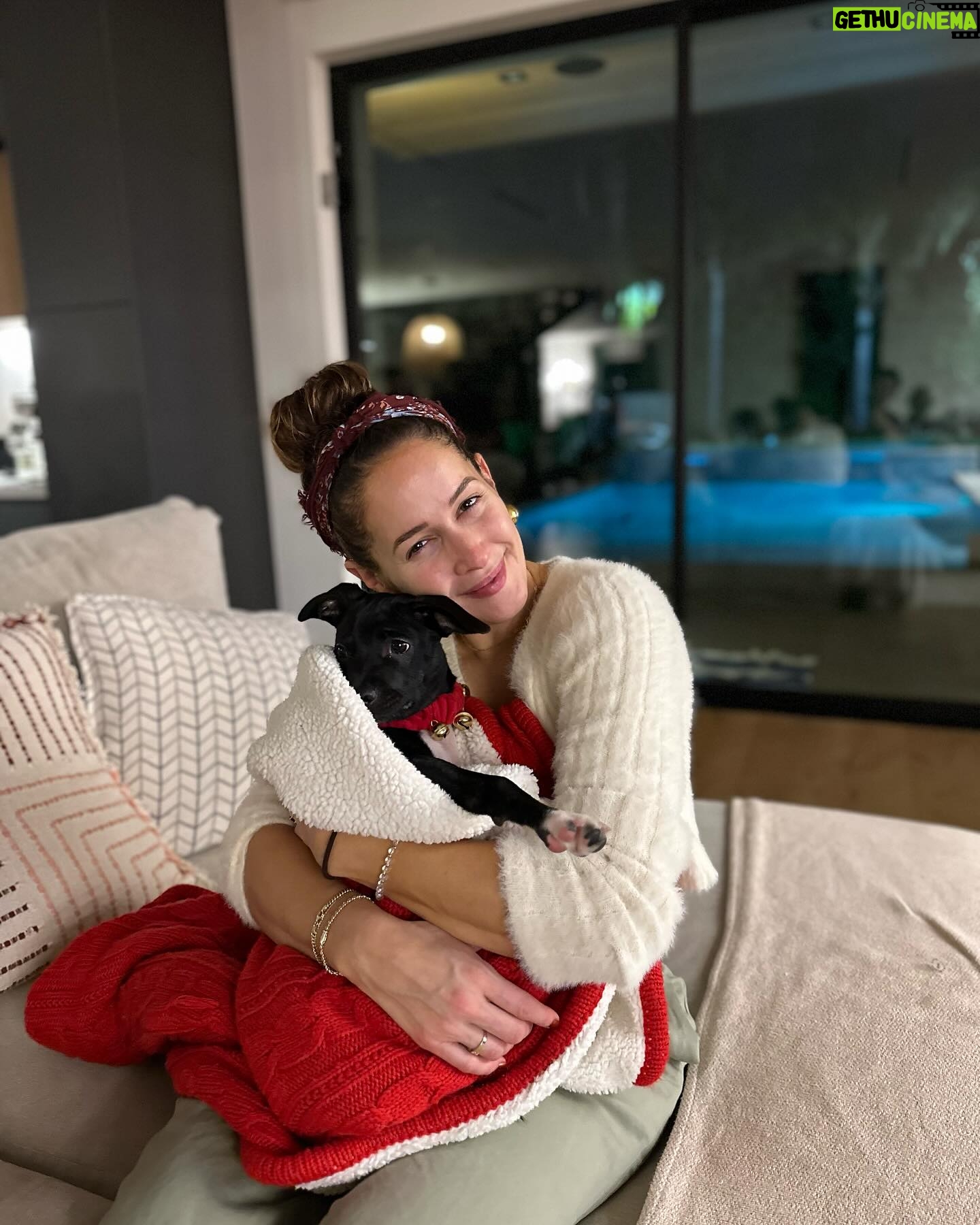 Jaina Lee Ortiz - 35.6K Likes - Lou/Louie/LooLoo/My baby/Mi nene, etc
We rescued him from @wagsandwalks on Dec 10.
He was born on 8/20/23, unsure of his breed but we find out very soon as we just submitted his doggie DNA (😭😭😭)
He is extremely smart, loves to cuddle and nap, enjoys foraging for seeds & leaves in the backyard…. And sleeps throughout the night! (🙏🏽)
Don’t mind me, I’ll be flooding the feed with puppy pics bc I’m obsessed. 😍