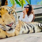 Janaki Sudheer Instagram - Some people have “aha” moments. I just have “oh seriously??” Moments. #instagram #instagood #instadaily #peace #vibe #postoftheday #picoftheday #pictureoftheday #smile #happy #selflove #thailand #vibes #janakisudheer #modelsofinstagram #modelsofkerala #iamonmyway #bigbossmalayalam #bigbossmalayalamseason4 #enjoylife #travel #traveling #keepgoing p