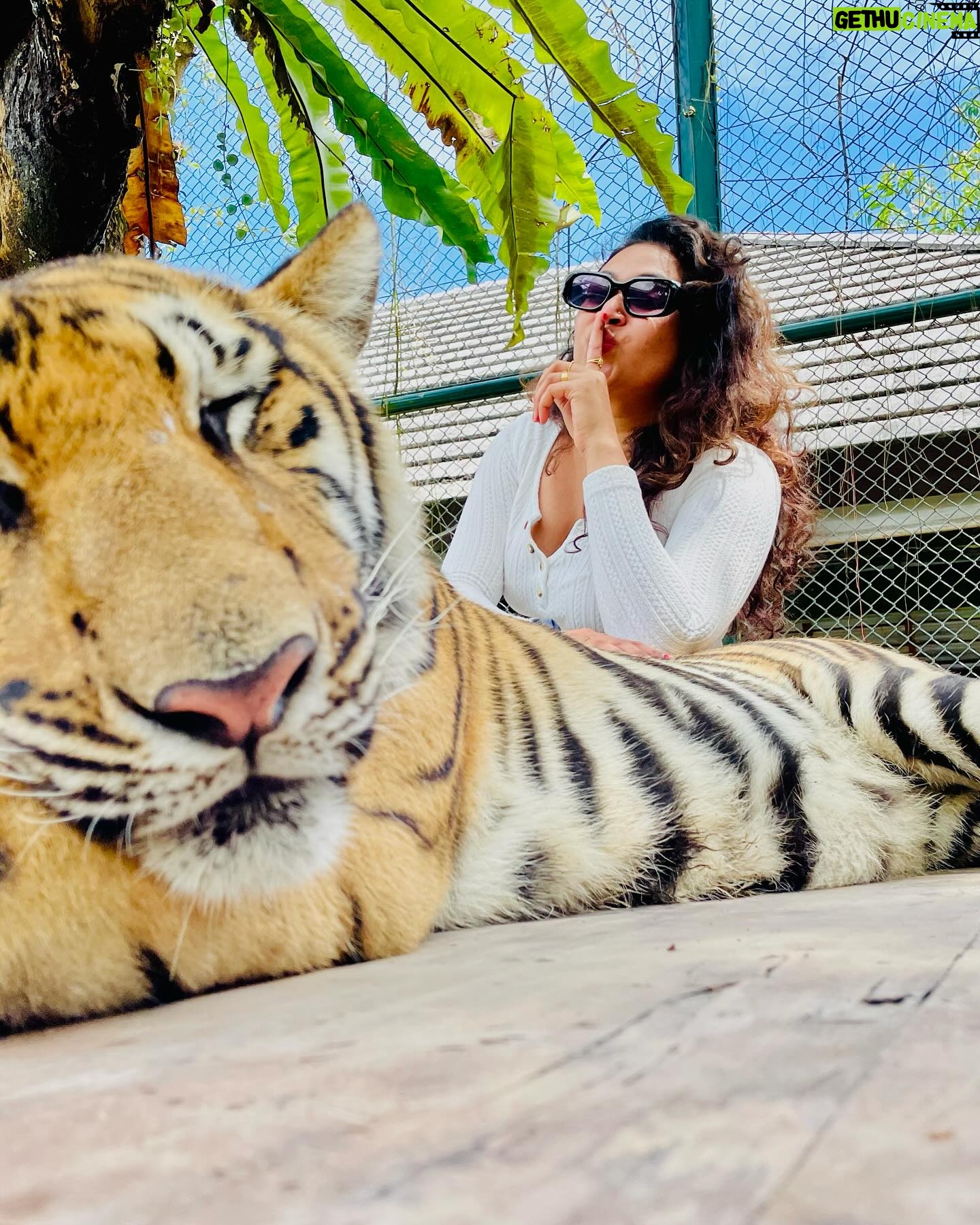 Janaki Sudheer Instagram - Some people have “aha” moments. I just have “oh seriously??” Moments. #instagram #instagood #instadaily #peace #vibe #postoftheday #picoftheday #pictureoftheday #smile #happy #selflove #thailand #vibes #janakisudheer #modelsofinstagram #modelsofkerala #iamonmyway #bigbossmalayalam #bigbossmalayalamseason4 #enjoylife #travel #traveling #keepgoing p