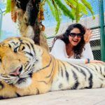 Janaki Sudheer Instagram - Some people have “aha” moments. I just have “oh seriously??” Moments. #instagram #instagood #instadaily #peace #vibe #postoftheday #picoftheday #pictureoftheday #smile #happy #selflove #thailand #vibes #janakisudheer #modelsofinstagram #modelsofkerala #iamonmyway #bigbossmalayalam #bigbossmalayalamseason4 #enjoylife #travel #traveling #keepgoing p