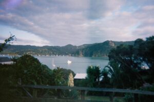 Janay Harding Instagram - Got some film back 🎞️

Been a minute between pictures since the first one dates back to June 2023 and the rest were from our amazing dive trip in Whangaroa Harbour/Cavalli Islands. But promise your mum will love me 😂

Comment where the🖕🏽should be directed too ⬇️

#whangaroa #dive
