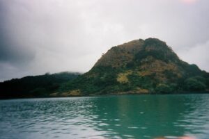 Janay Harding Instagram - Got some film back 🎞️

Been a minute between pictures since the first one dates back to June 2023 and the rest were from our amazing dive trip in Whangaroa Harbour/Cavalli Islands. But promise your mum will love me 😂

Comment where the🖕🏽should be directed too ⬇️

#whangaroa #dive