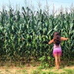 Jandae Percem Instagram - Corn thief