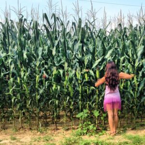 Jandae Percem Instagram - Corn thief