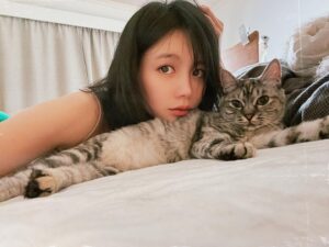 Jane Chen Instagram - 徵床?伴

母的；未滿一歲、一歲上下皆可；個性膽小怕生懶惰愛吃尤佳。

有合適對象請私訊我🙏🏻