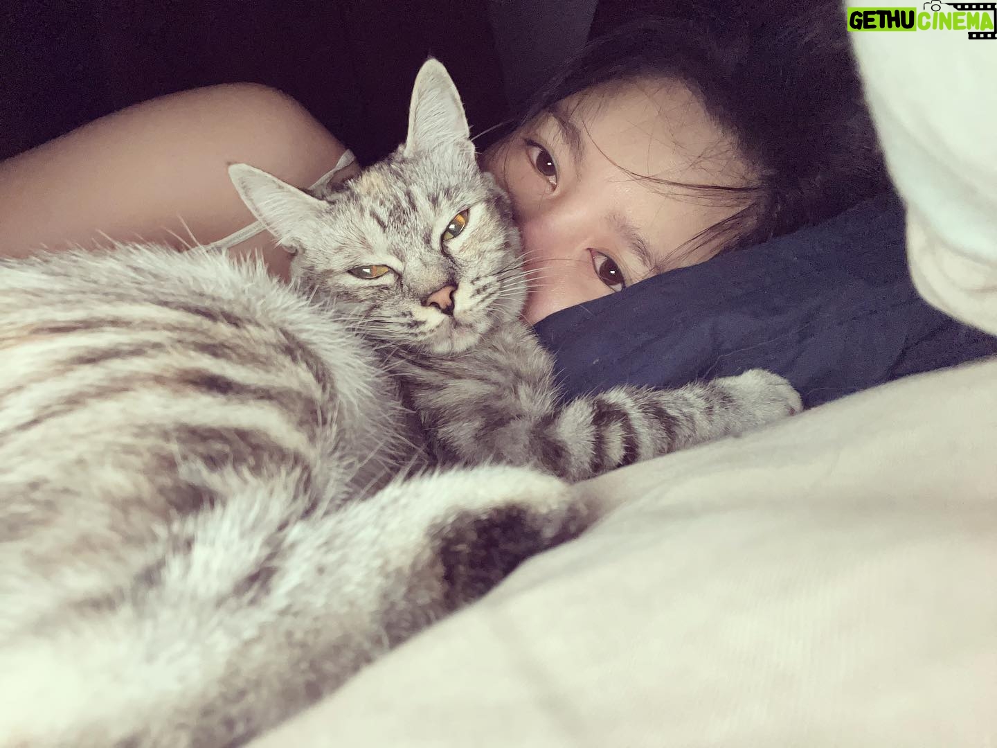 Jane Chen - 1.9K Likes - 永遠不嫌晚,給自己一個打造一個全新的樣貌💪🏻