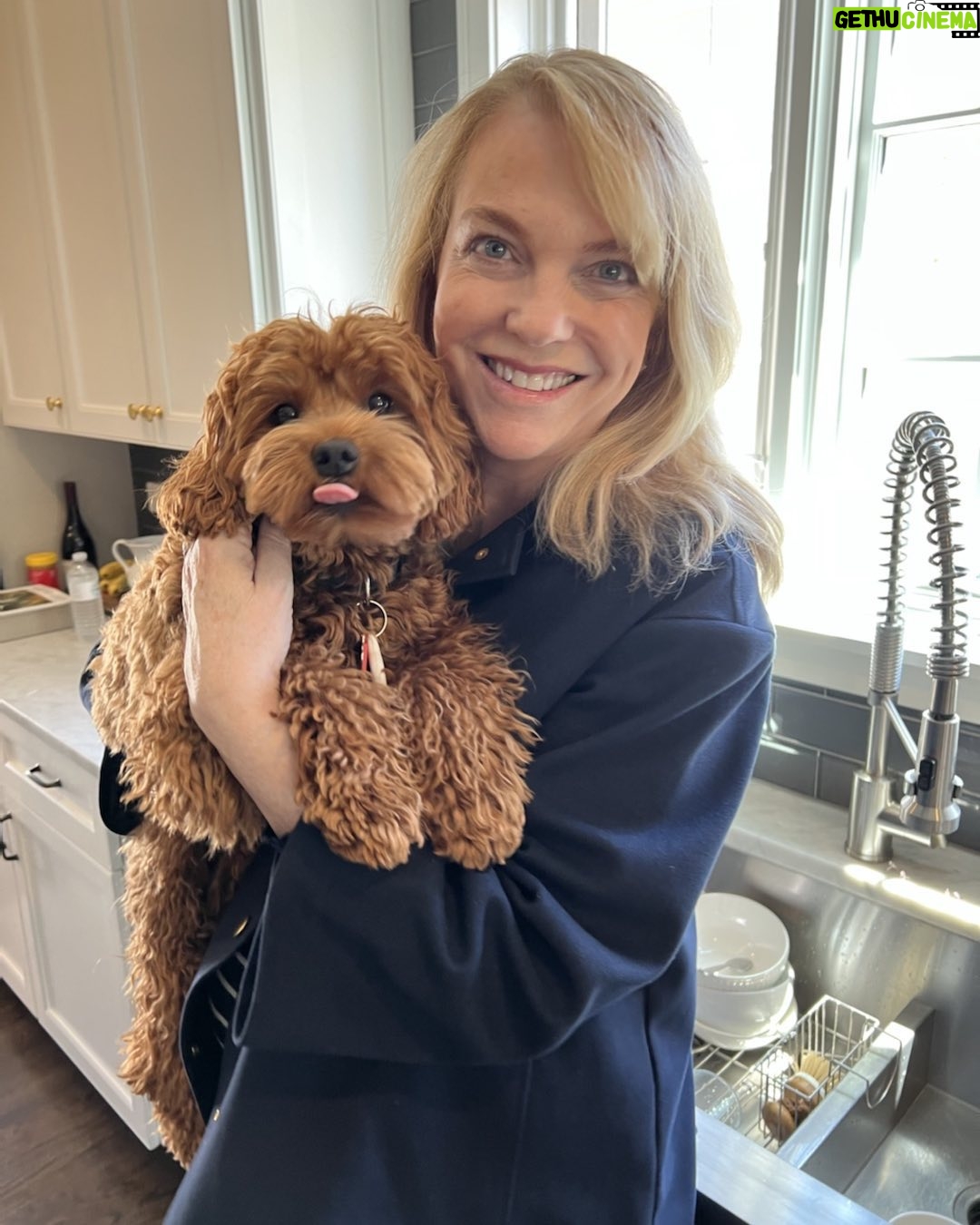 Jane Lynch - 3.1K Likes - My sister adores her grandpuppy.