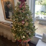 Jane Lynch Instagram - This is our tiny adorable tree. Christmas time is here!