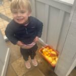 Jane Lynch Instagram - My neighbor Perry dropped off some lemons from his tree. I will make him lemon bars.