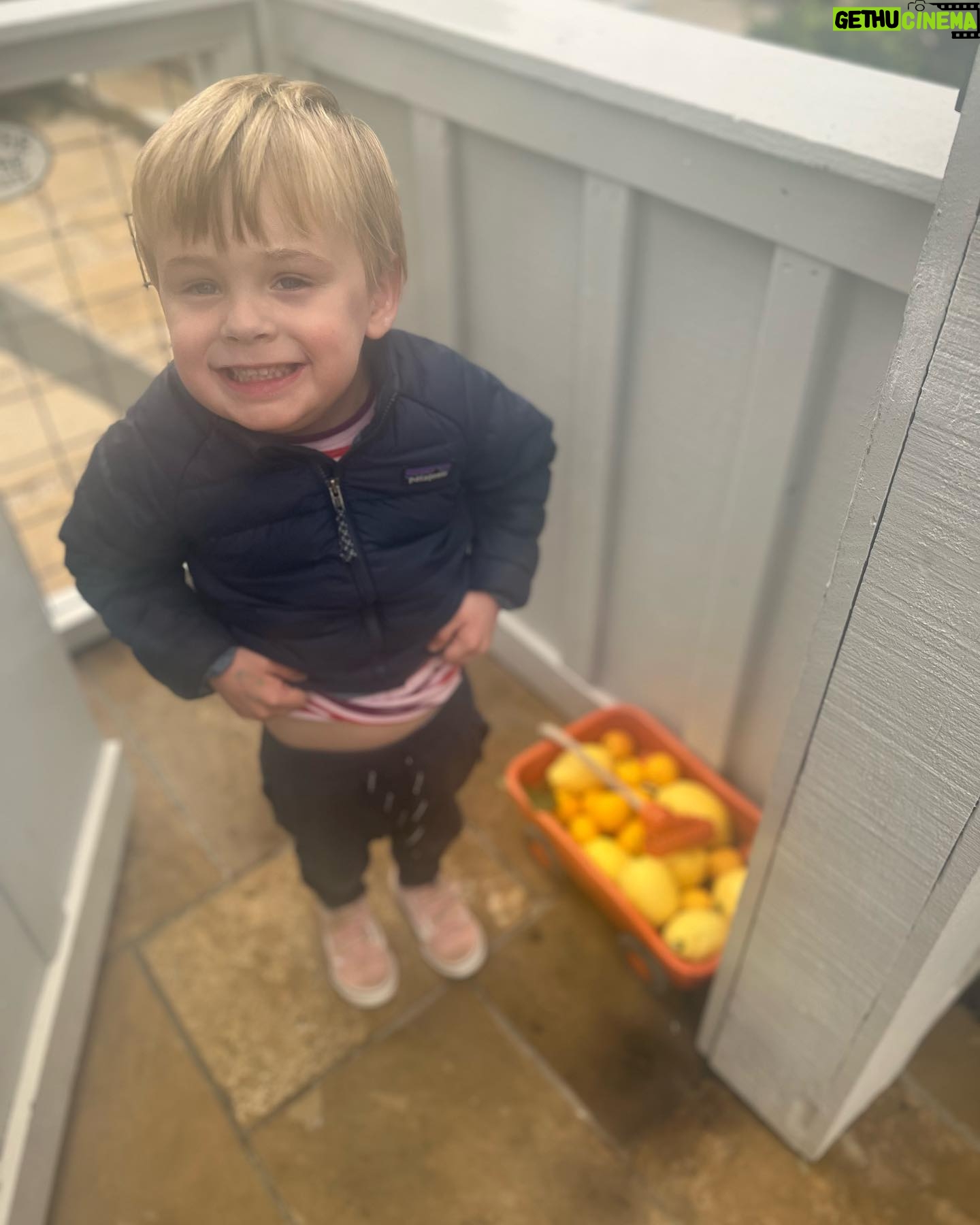 Jane Lynch - 9.5K Likes - My neighbor Perry dropped off some lemons from his tree. I will make him lemon bars.
