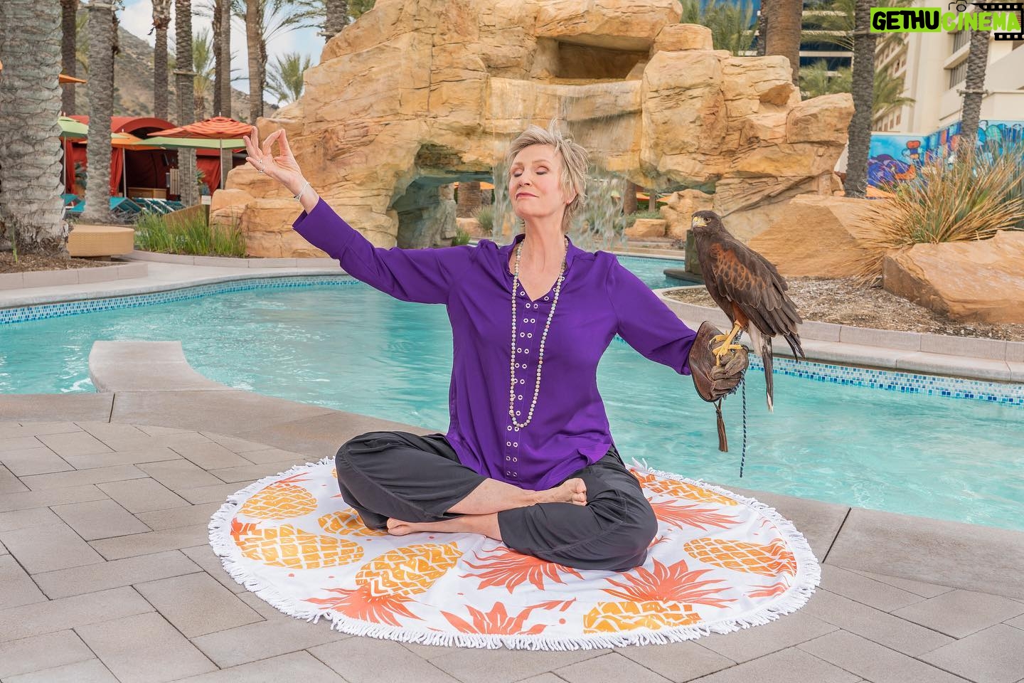 Jane Lynch - 4.8K Likes - Approved F-words: Funner, Falcons, and Focus. #MayorJane #HarrahsSoCal #Funner "
