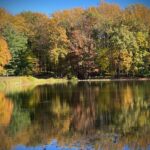 Jane Lynch Instagram – @jennifercheyne7 is in Maryland visiting a good friend. This gorgeousness is from their walk. She said the photo does not do it justice. Can you imagine?!
