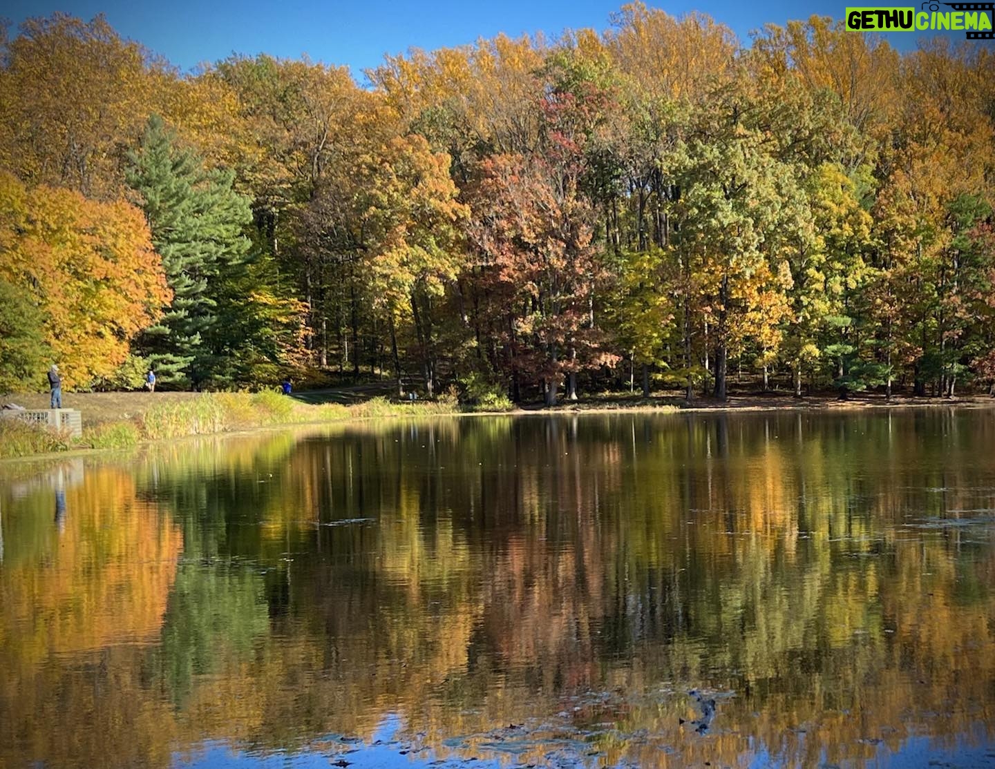 Jane Lynch Instagram - @jennifercheyne7 is in Maryland visiting a good friend. This gorgeousness is from their walk. She said the photo does not do it justice. Can you imagine?!