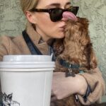 Jane Lynch Instagram - These are a few of my favorite things. @kingsroadcoffee @francinethedoodle @meg_doyle