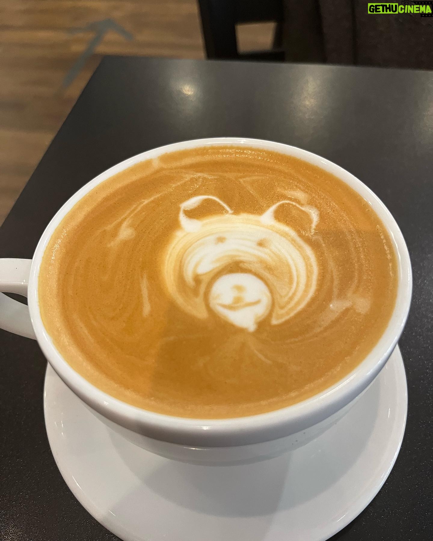 Jane Lynch - 3.2K Likes - Perfection. Thx @coffeehoundcafes