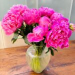 Jane Moore Instagram – My favourite flower #peonies 
What’s your favourite? 💐