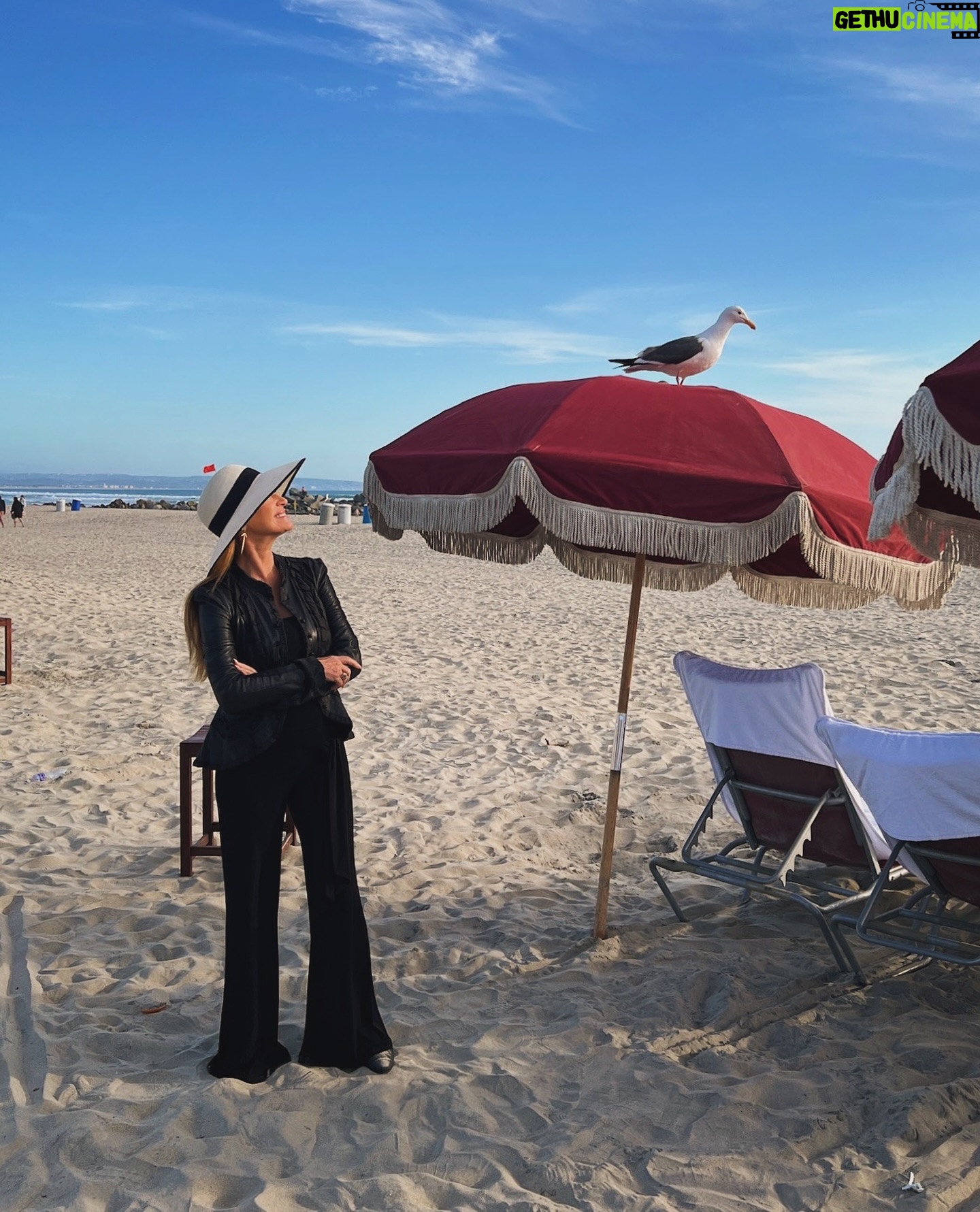 Jane Seymour - 4.6K Likes - Always make friends with the locals! 🐦🌊 Happy Friday, what do you have in store for the weekend? 😊