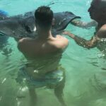 Janet Montgomery Instagram - Everything I know about Stingrays I learned it at Stingray City 🇦🇬
