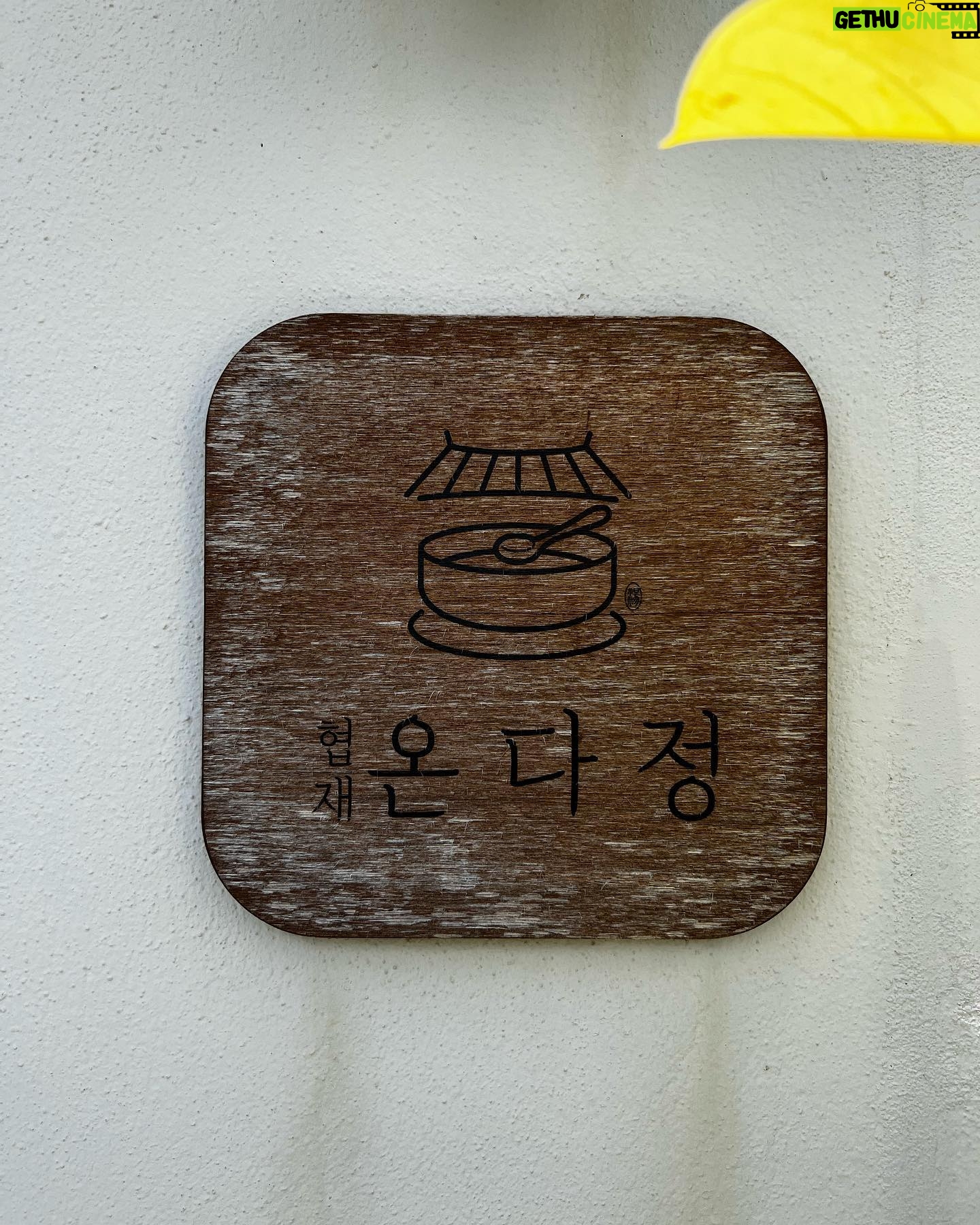 Jang Shin-young - 7.4K Likes - 정우와 오랜만에 온 제주💕 협제 온다정 제주맛집 👏👍그동안 자주못봤던 미래 😭😅🥲제주에 혼자떨어져 고생하고있지만 넘넘 기특하고 대견하고 👍정말맛있었던음식들 사촌동생이 운영하고있는 제주협재 온다정👍💕정우도 나도 한그릇뚝딱하고왔다 ㅋㅋㅋ 든든한 한끼 👍미래야!!! 힘내자!!! 제주 협재 온다정 대박나자 지금도 맛집이지만🥰💕❤️👍