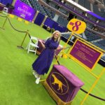 Janice Dean Instagram - We’re here! @westminsterkennelclub #bestinshow @foxandfriends 💜