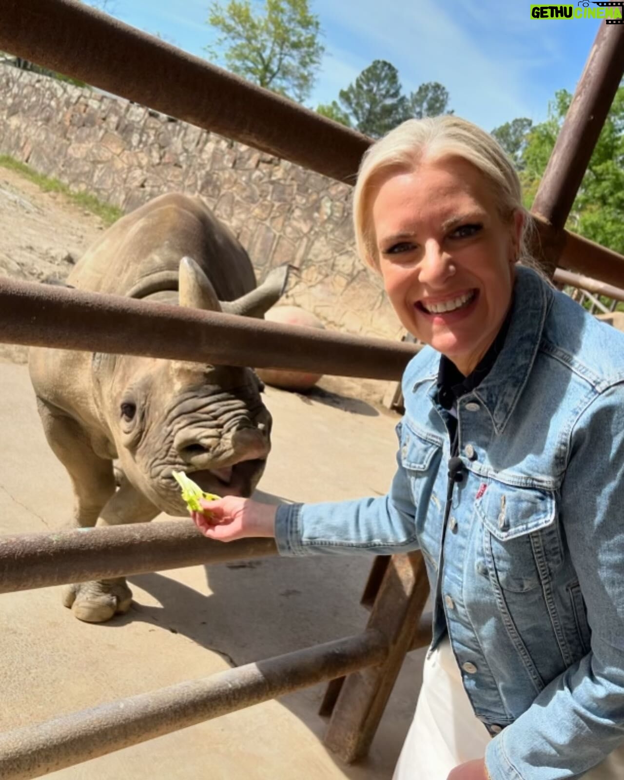 Janice Dean Instagram - The animals stole the show today @LittleRockZoo #TotalsolarEclipse
