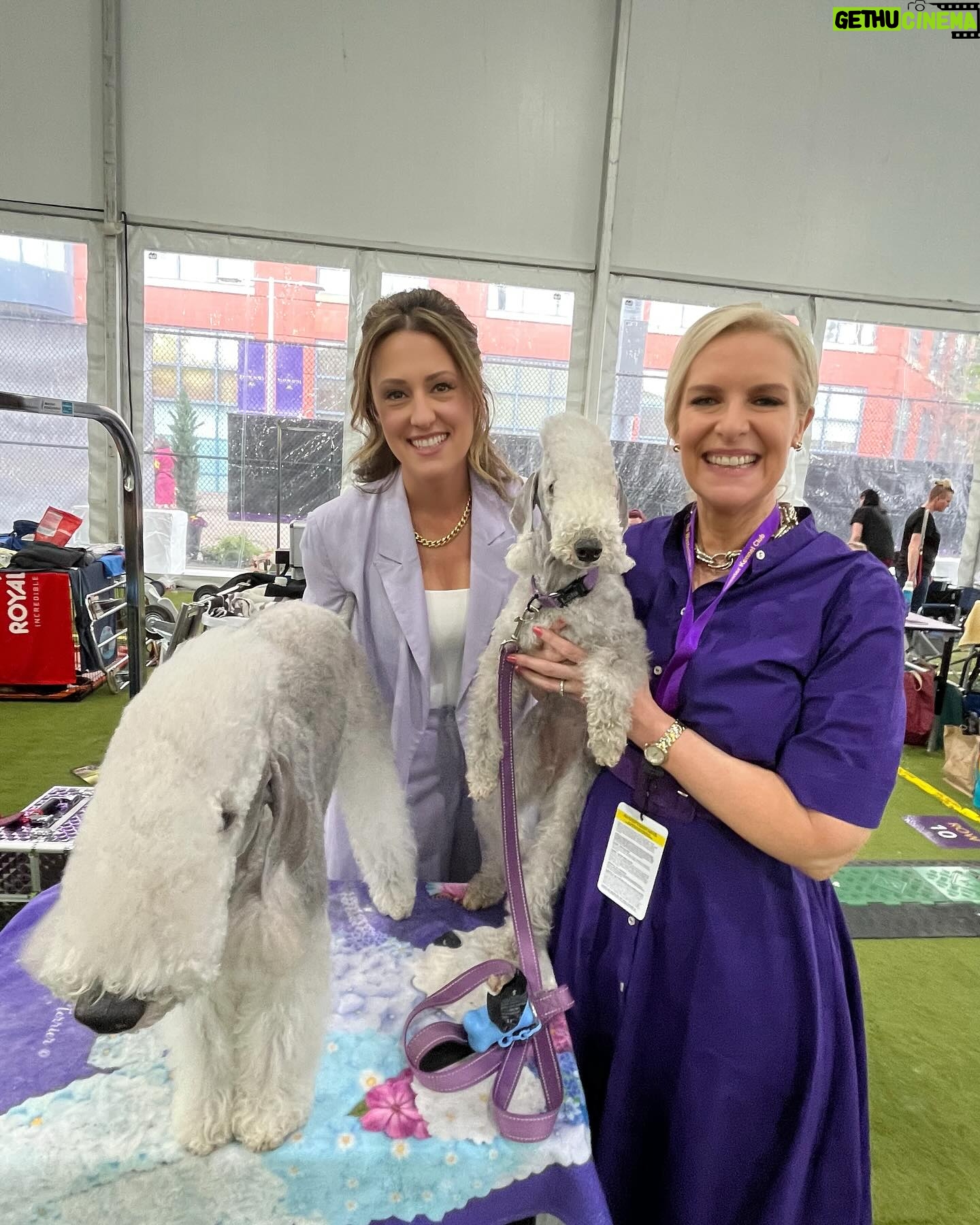 Janice Dean Instagram - So nice to see you @allison__williams at @westminsterkennelclub 💜🐾