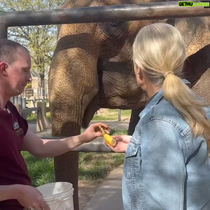 Janice Dean Instagram - The animals stole the show today @LittleRockZoo #TotalsolarEclipse