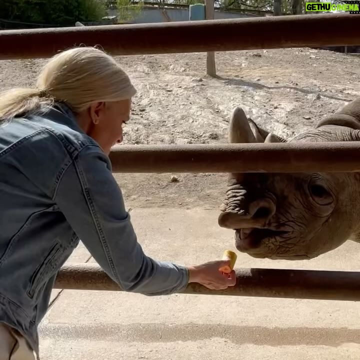 Janice Dean Instagram - The animals stole the show today @LittleRockZoo #TotalsolarEclipse