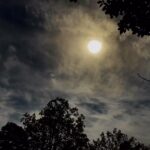Janice Dean Instagram - Here it is #TotalSolarEclipse2024 #LittleRock @LittleRockZoo amazing video by @nathantheoperator @foxandfriends