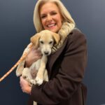 Janice Dean Instagram – It’s #NationalAdoptaShelterPetDay raising awareness for thousands of pets that are waiting for (and needing) adoption from shelters. Sam, Fin and Aaron are all adoptable from ⁦‪#BestFriendsAnimalSociety foxandfriends‬⁩ 🐾