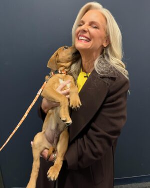 Janice Dean Instagram - It’s #NationalAdoptaShelterPetDay raising awareness for thousands of pets that are waiting for (and needing) adoption from shelters. Sam, Fin and Aaron are all adoptable from ⁦‪#BestFriendsAnimalSociety foxandfriends‬⁩ 🐾