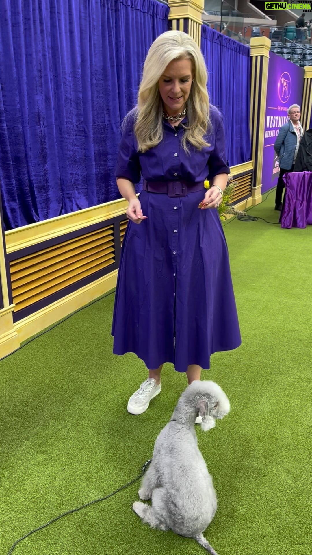 Janice Dean Instagram - Lola tricks! πΎπ