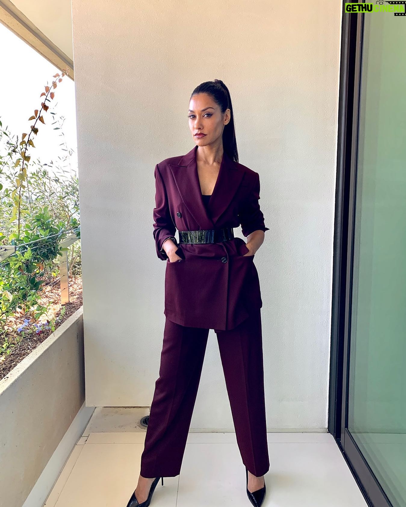 Janina Gavankar - 5.8K Likes - power pony power suit = ?