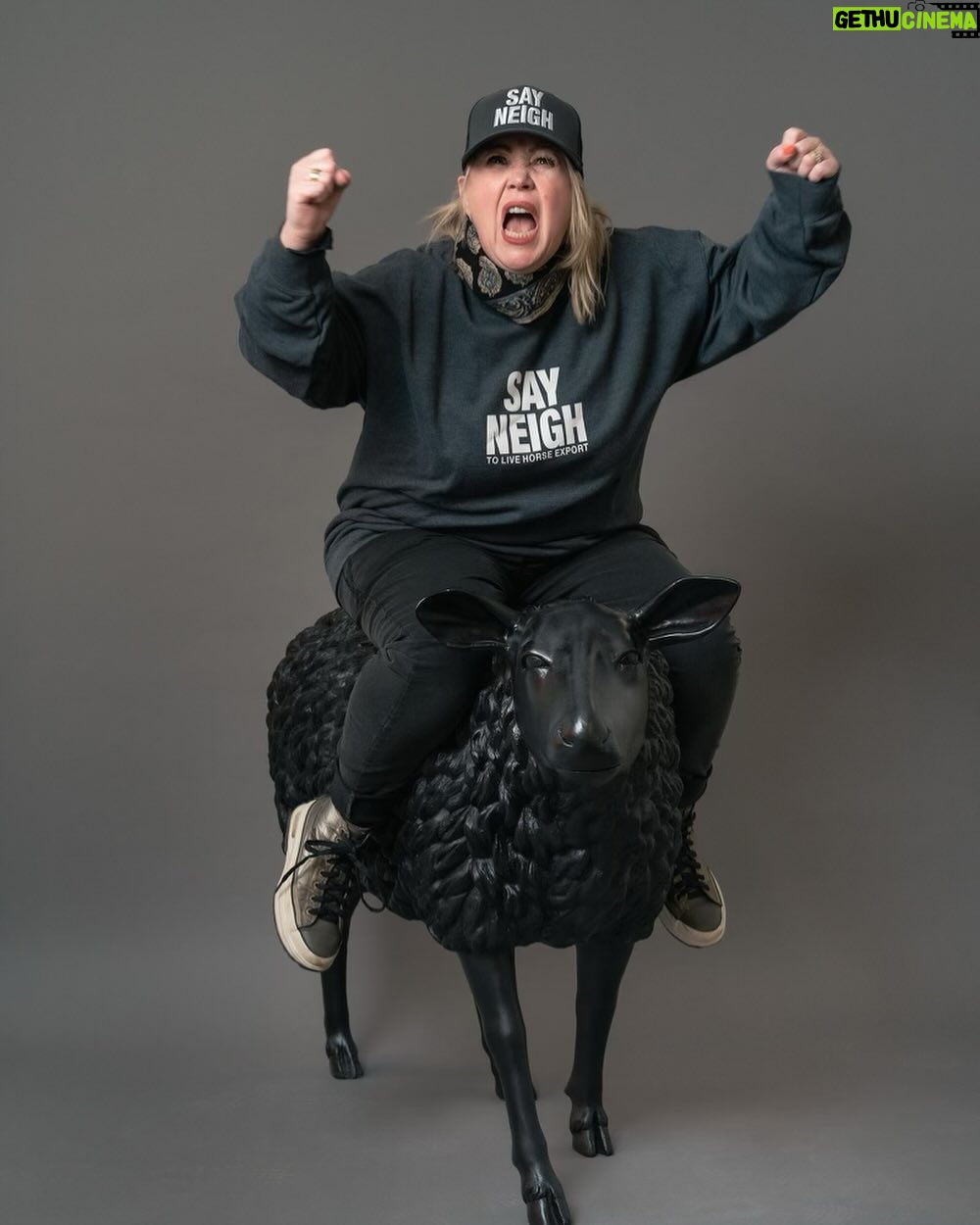Jann Arden Instagram - Be the black sheep! Say neigh to LIVE HORSE EXPORT concept and art direction @wendywilliamswatt photo @maddisonheisler www.horseshit.ca to buy your SAY NEIGH SWAG. ALL PROCEEDS HELP THE HORSES