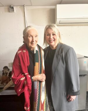 Jann Arden Instagram - Honour of a lifetime. An evening in conversation--listening to the powerful, hopeful, important messages from this legendary woman. A fierce advocate for the planet and all the living beings upon it. @janegoodallcan  join Jane's team and become a monthly sponsor!!! Let's get the Canadian membership up to 1000!!! Janegoodall.ca