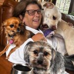Jann Arden Instagram - Meanwhile back home..... @darlbell1 in a dog pile!!! Can't wait to get home!!!!